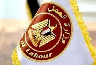 وزارة العمل تعلن عن 300 فرصة عمل لسائقي الدرجة الأولى برواتب تصل لـ 15 ألف جنيه