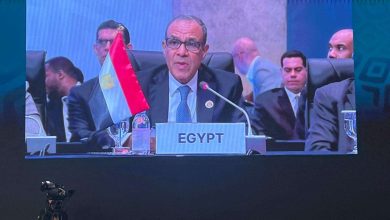 وزير الخارجية يشارك في منتدى الأعمال «المصري – التشادي»