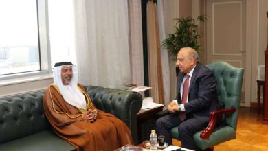وزير الكهرباء: الشركات الإماراتية شريك نجاح في إطار خطة الدولة للتحول الطاقي