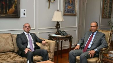 وزيرا الخارجية والاستثمار يبحثان خطة الترويج للاقتصاد المصري في الأسواق العالمية
